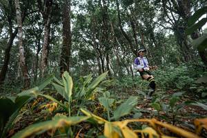 BIB: 
                            <button type="button" onclick="openModal(22795370)" class="btn btn-primary btn-sm float-right btn-popup" data-toggle="modal" data-target=".modal-high-quality">
                        <i class="fas fa-shopping-cart"></i> Add to Cart
                    </button>
                                            <button type="button" onclick="isThisMe(22795370, true)" class="btn btn-success btn-sm float-right btn-popup btn-isme hidden" data-toggle="tooltip" data-placement="bottom" title="นี่คือรูปของคุณใช่ไหม คลิกที่นี่เพื่อเอาเข้าอัลบั้ม">
                        <i class="fas fa-plus"></i> Add to album
                    </button>
                    <button type="button" onclick="isThisMe(22795370, false)" class="btn btn-warning btn-sm float-right btn-popup btn-isnotme hidden">
                        <i class="fas fa-ban"></i> Remove from album
                    </button>